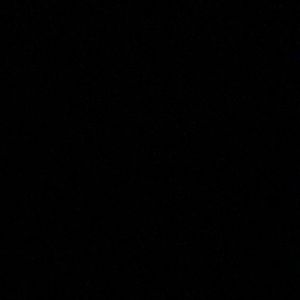 Meet your Posher, Will